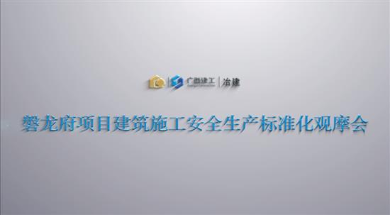 冶建公司磐龍府項(xiàng)目建筑施工安全生產(chǎn)標(biāo)準(zhǔn)化觀(guān)摩會(huì)